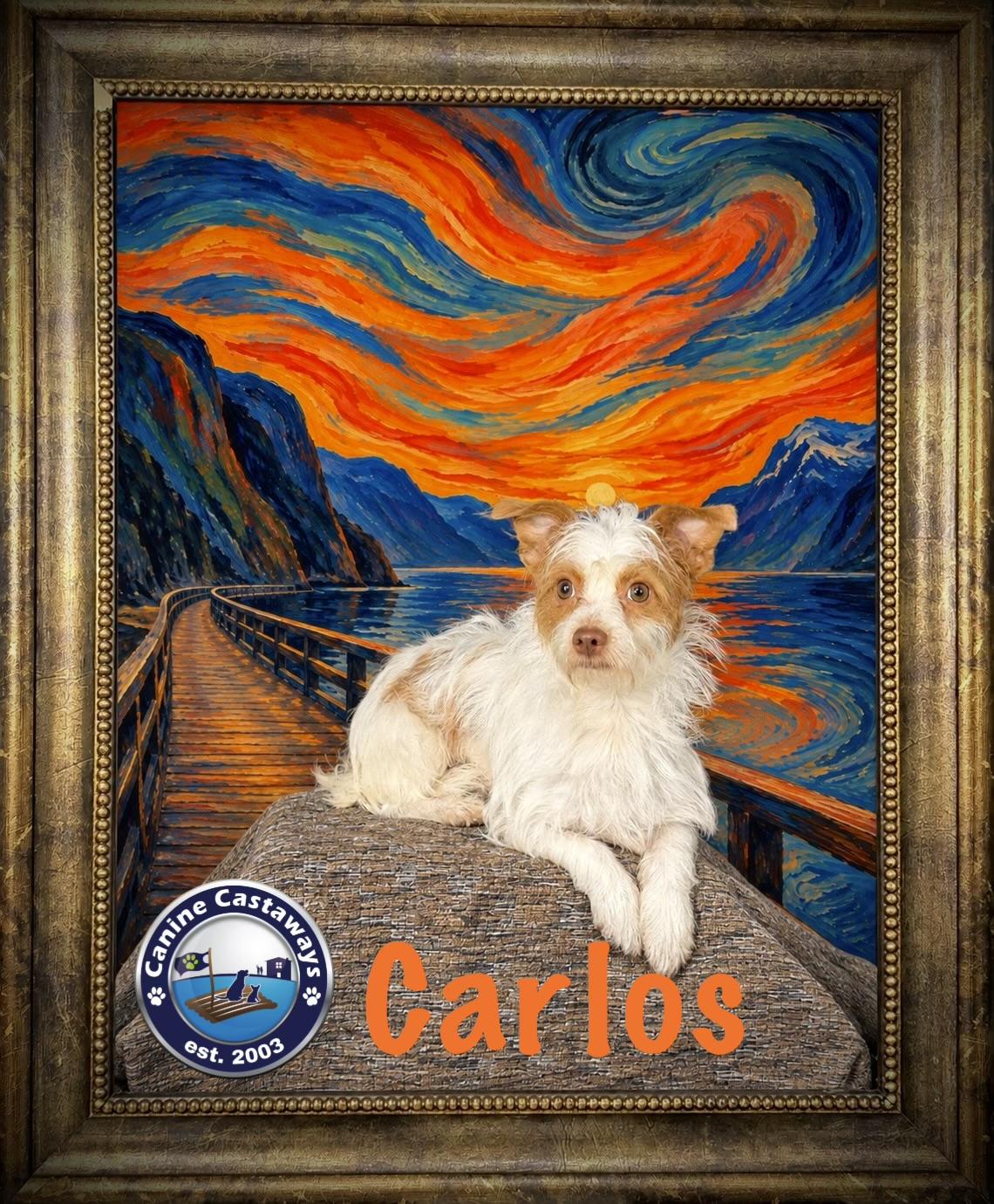 Enlarge Carlos, a Adoptable mixed breed in Arcadia, FL image 4/5