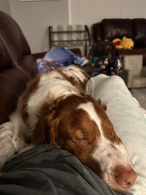 Jack  Al thumbnail 4