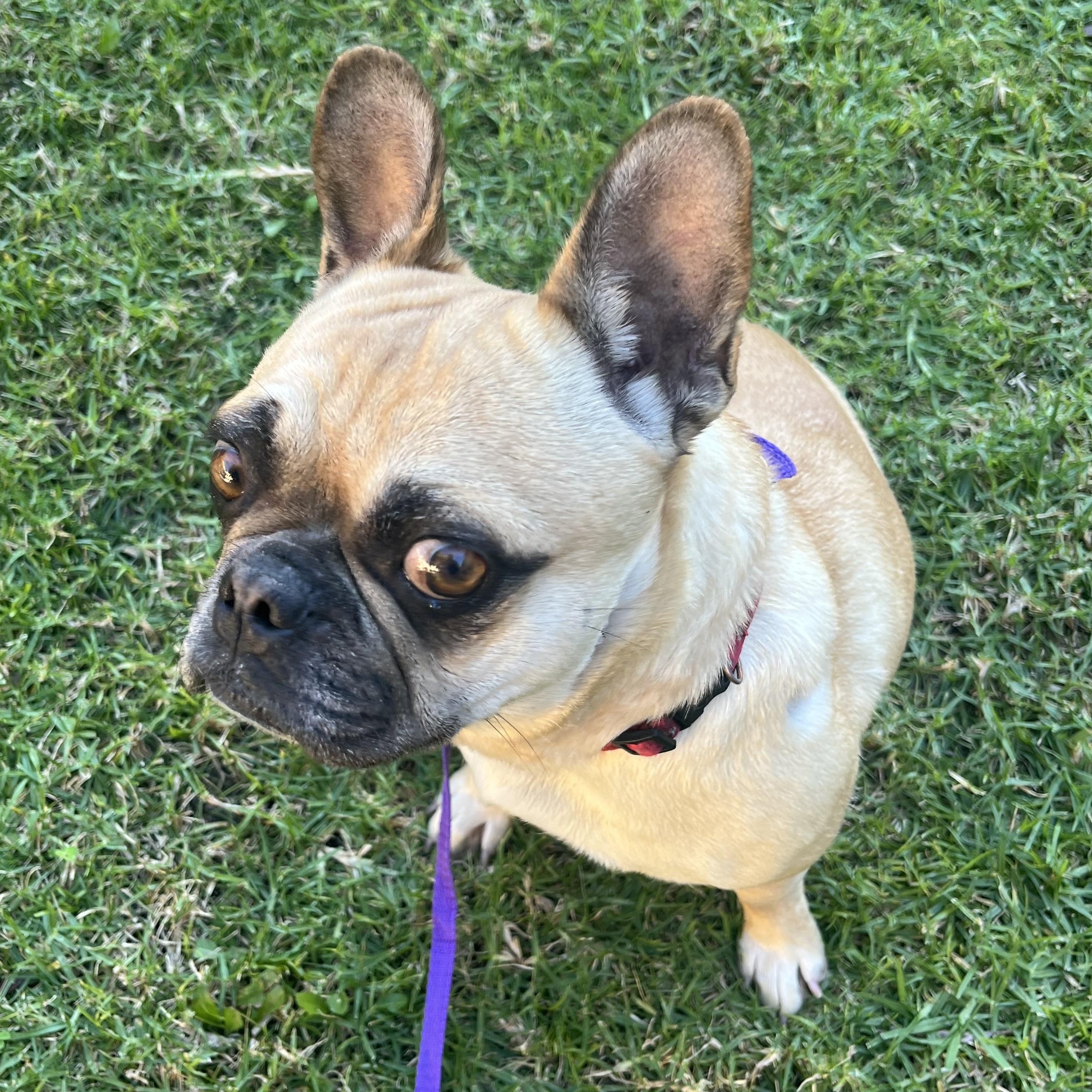 Toasty — thumbnail 3