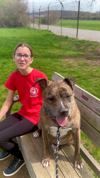 Enlarge Najarah, a Adoptable Mixed Breed in Elyria, OH video 6/6