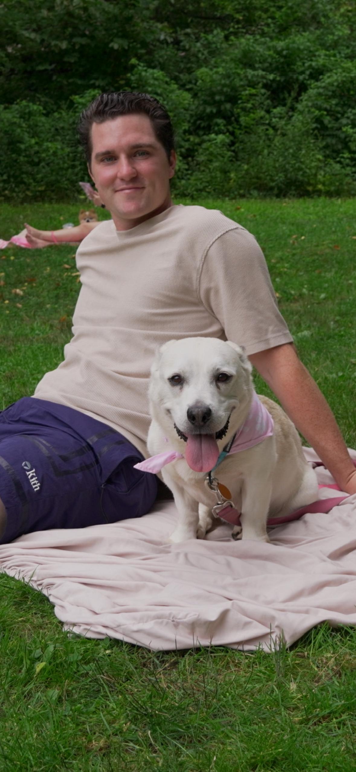 Enlarge Paulina, a Adoptable mixed breed in Brooklyn, NY image 4/6