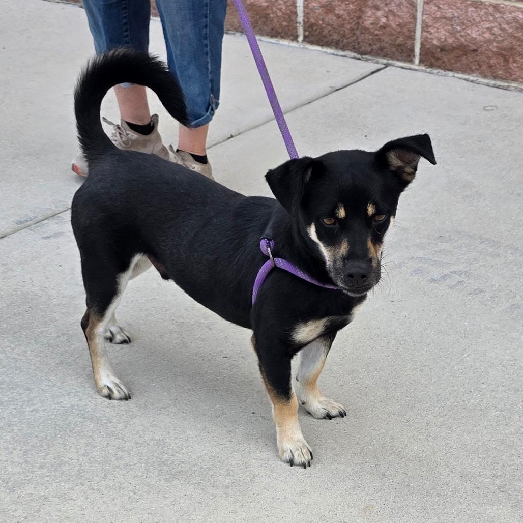 Rocket Ship Fj thumbnail 3