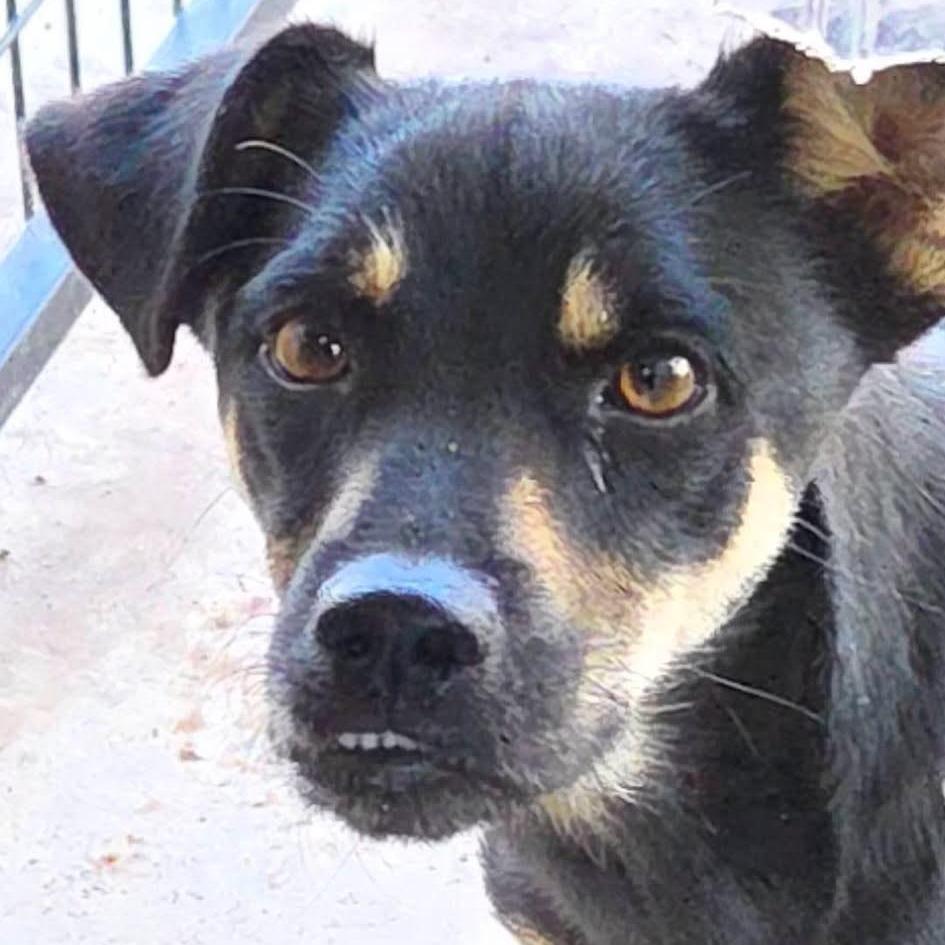 Rocket Ship Fj thumbnail 4