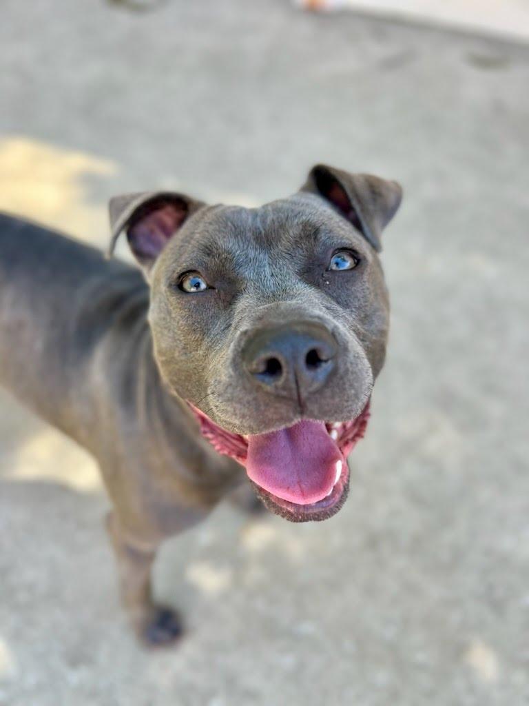 Luna