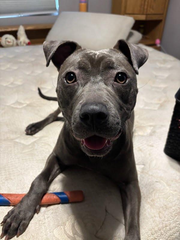 Luna