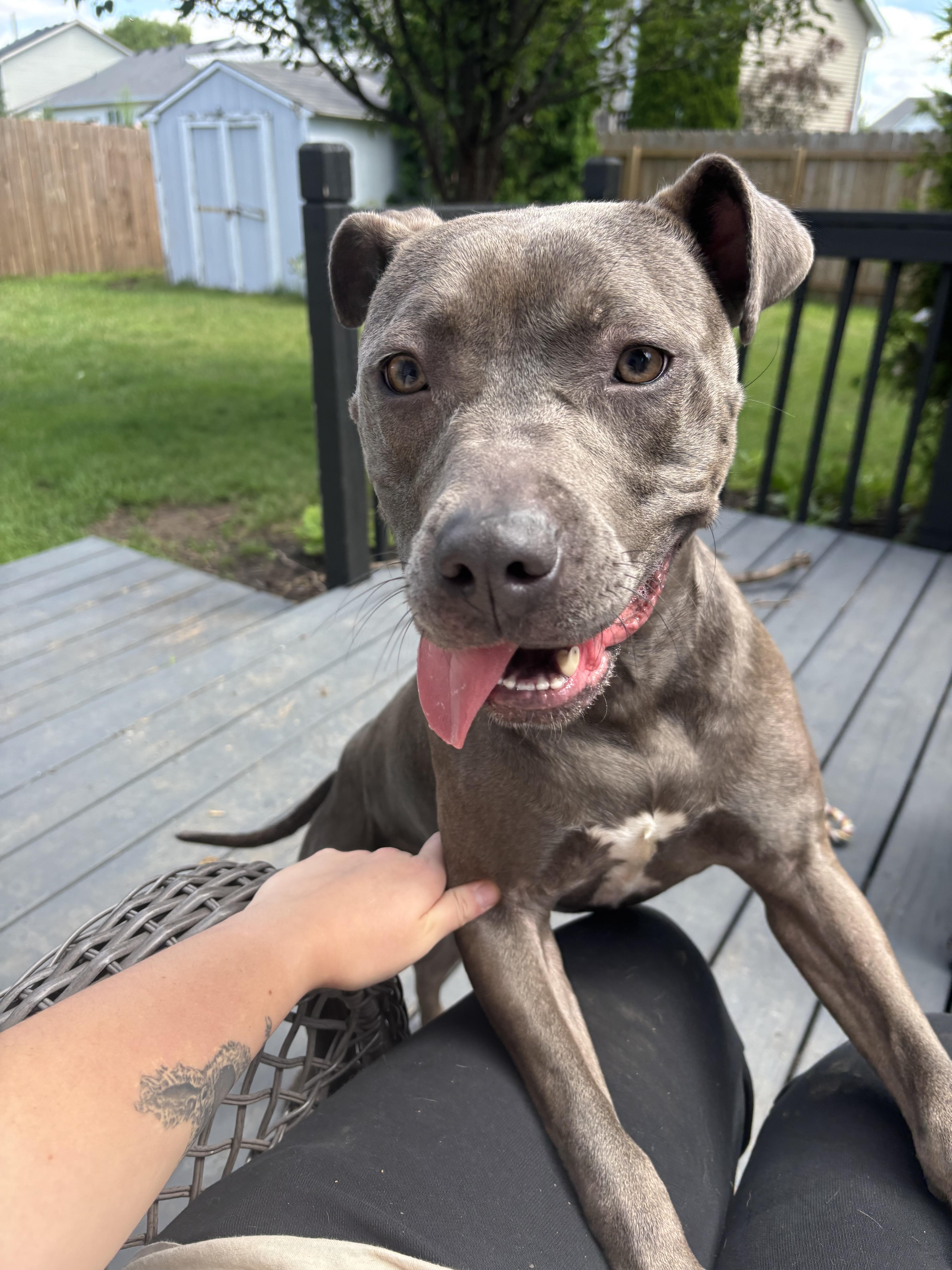 Luna