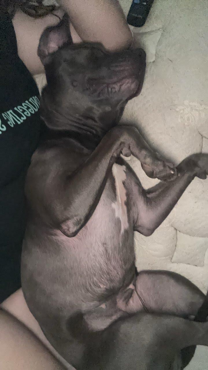 Luna