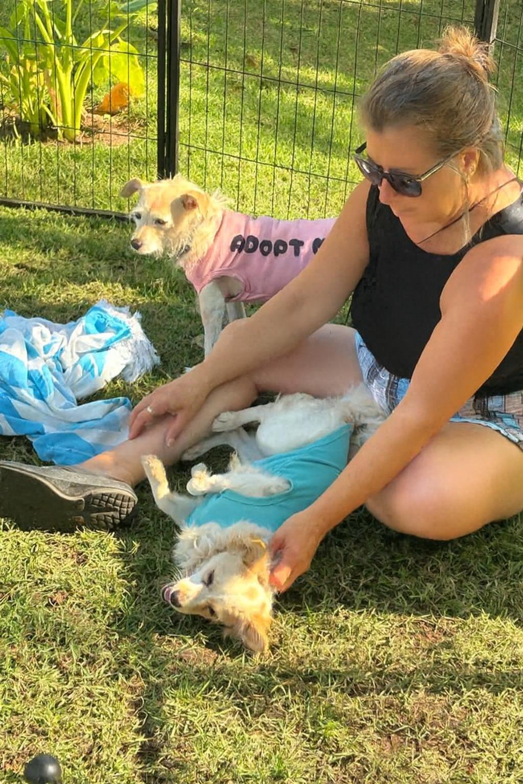 Manchas — thumbnail 4