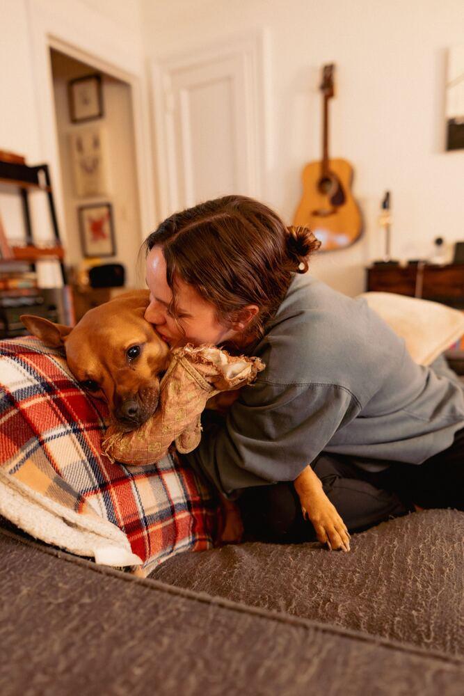 Enlarge Tom Nook, a Adoptable mixed breed in New York, NY image 3/6