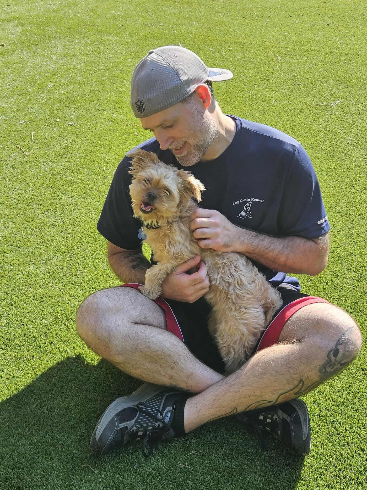 Enlarge Ariel, a Adoptable Yorkshire Terrier in Hillsborough , NC image 3/3