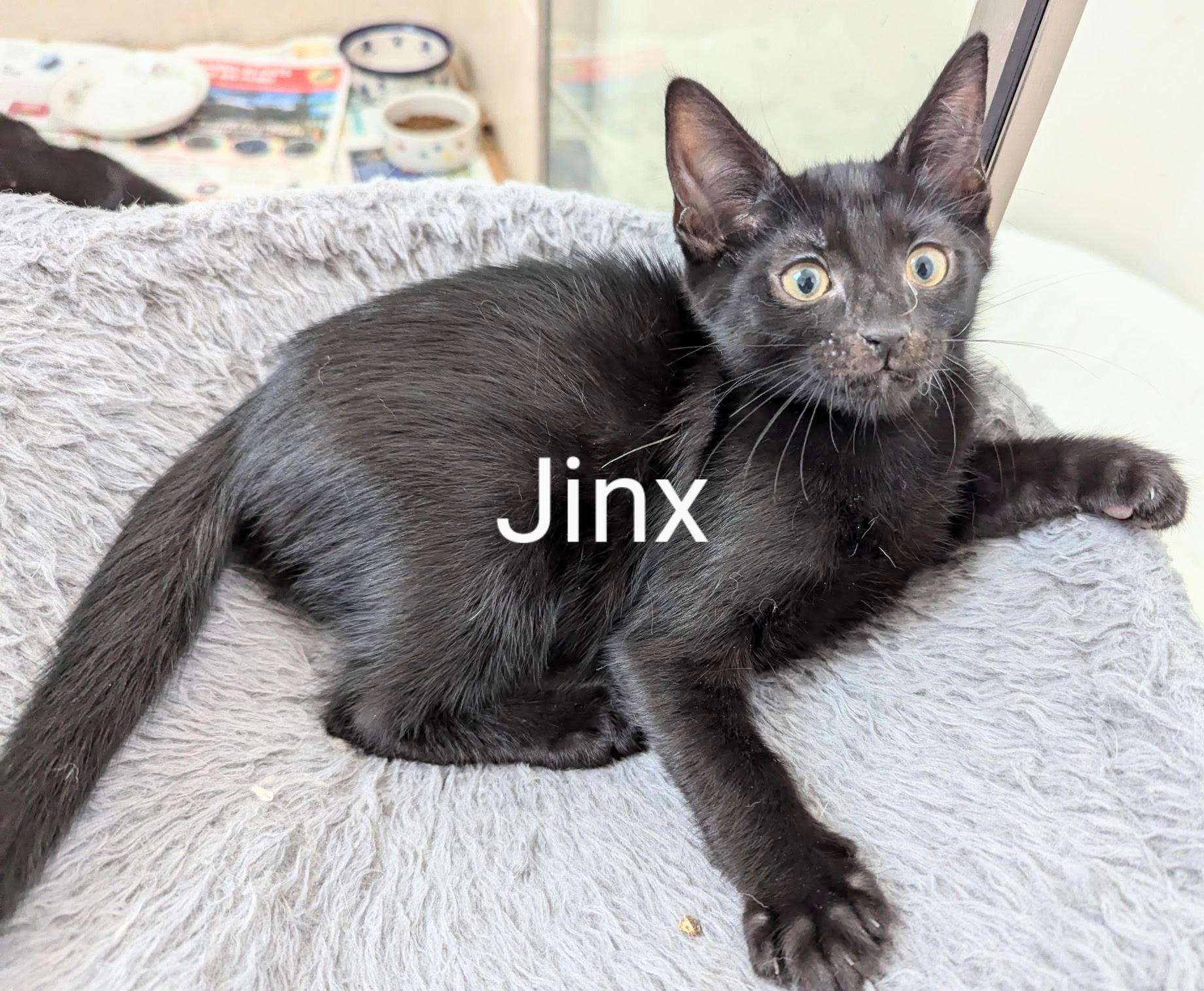 Jinx