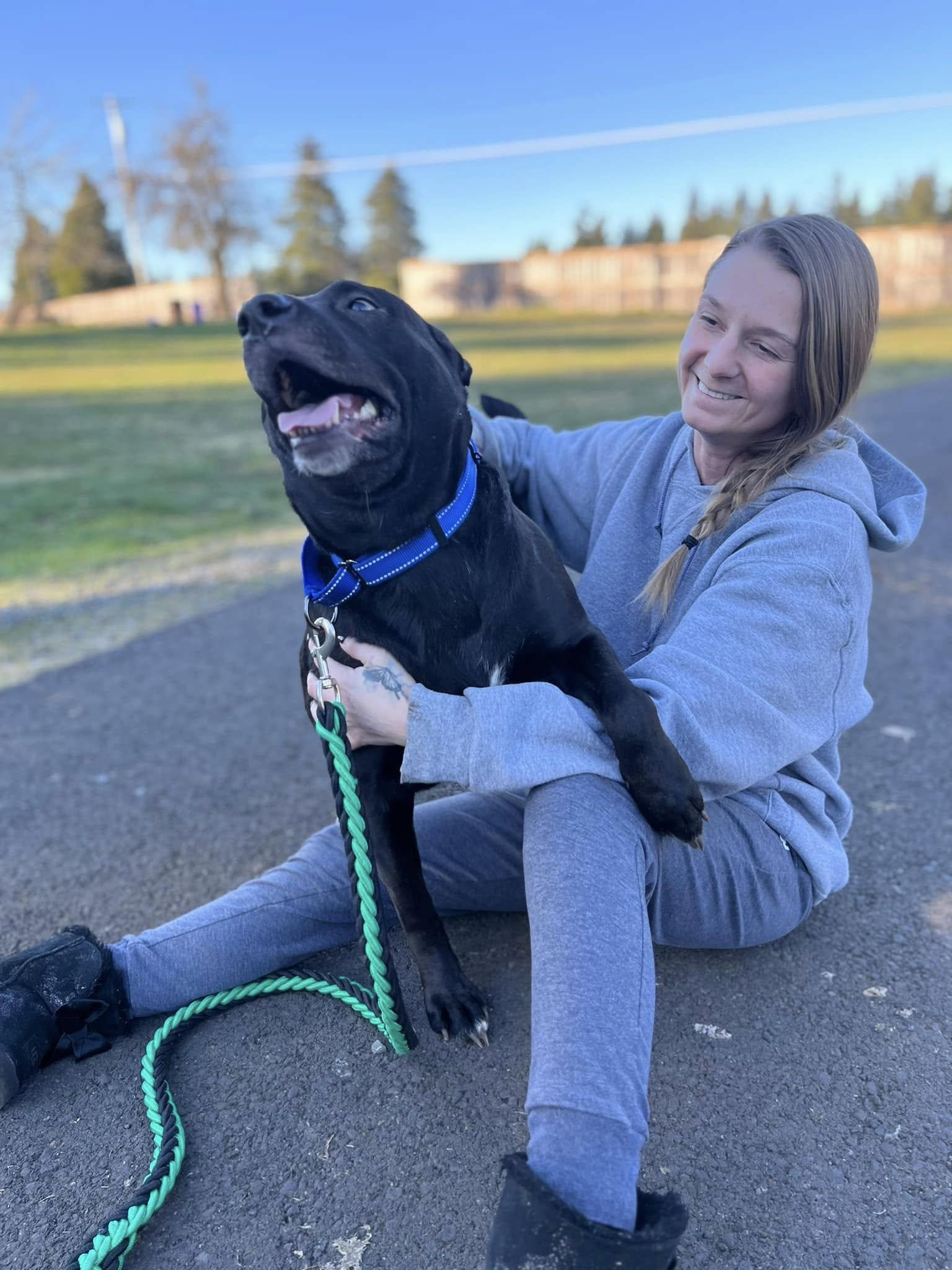 Enlarge Rosa, a Adopted mixed breed in West Linn, OR image 4/6