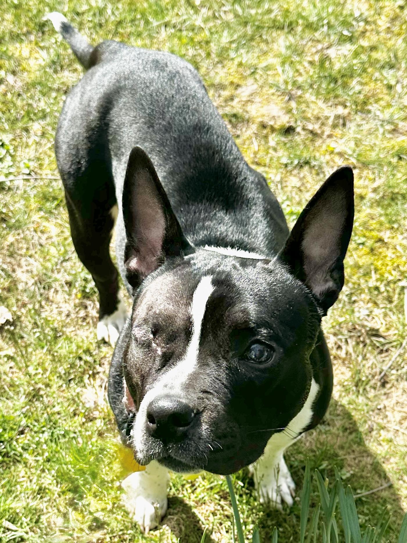 Sally, Adult Female unknown