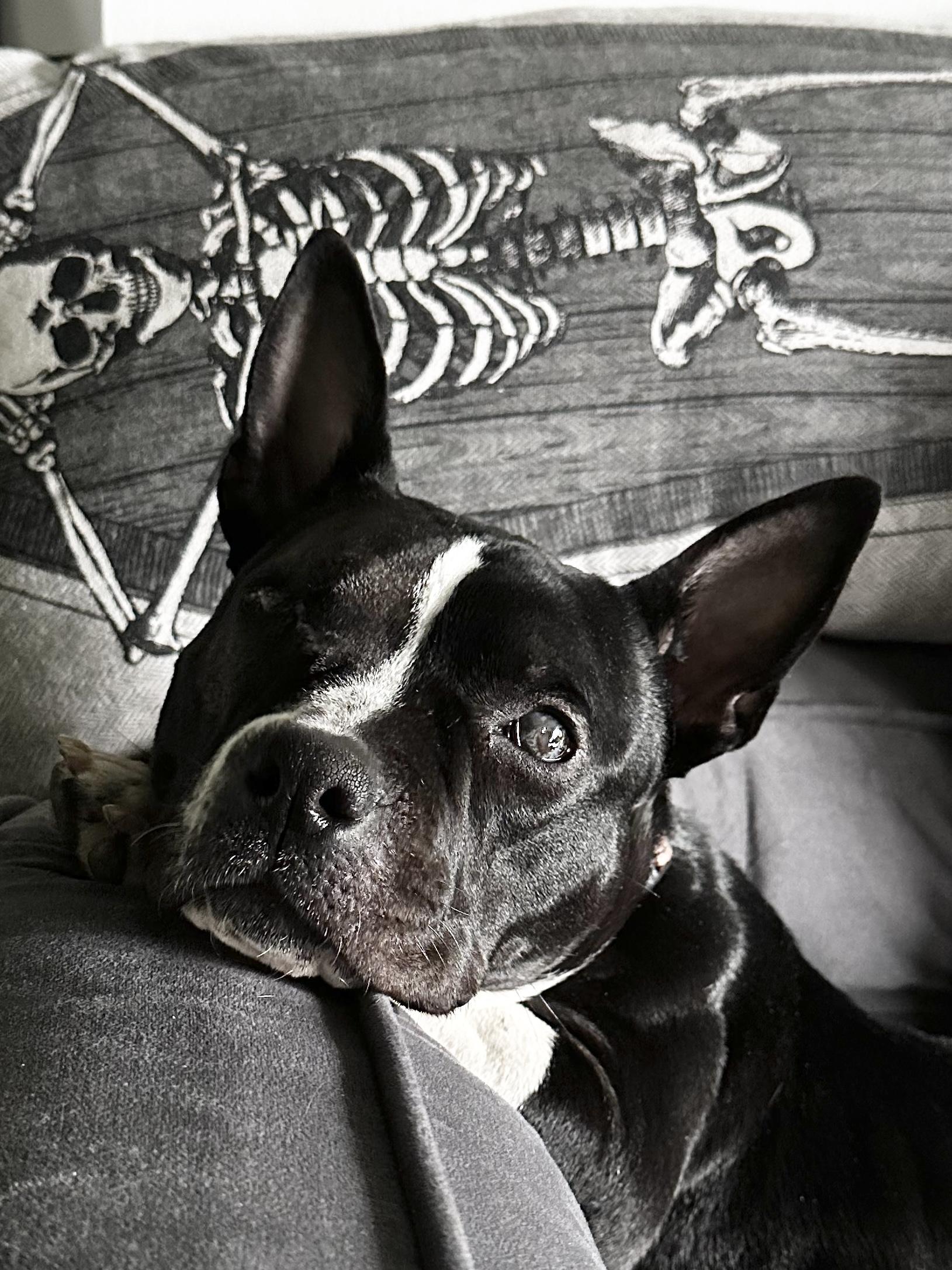 Sally photo 2