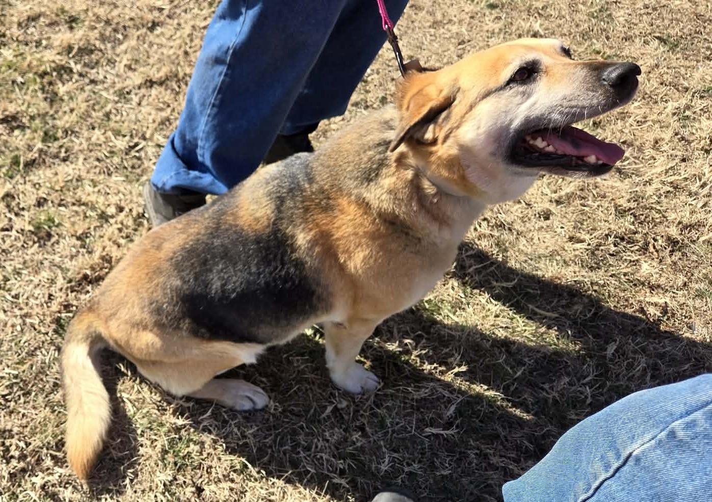 Khaleesi thumbnail 2