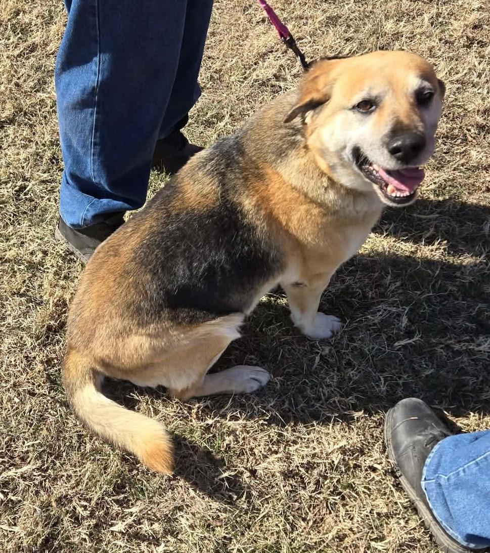 Khaleesi thumbnail 3