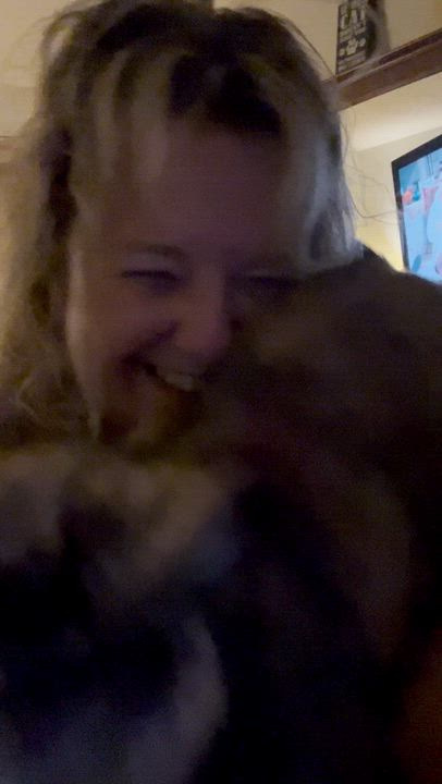 Enlarge Ramsie, an adopted Tortoiseshell in Orlando, FL video 5/5