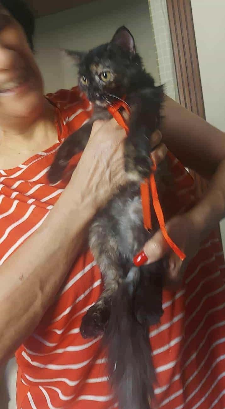 Jazzy & Jolene