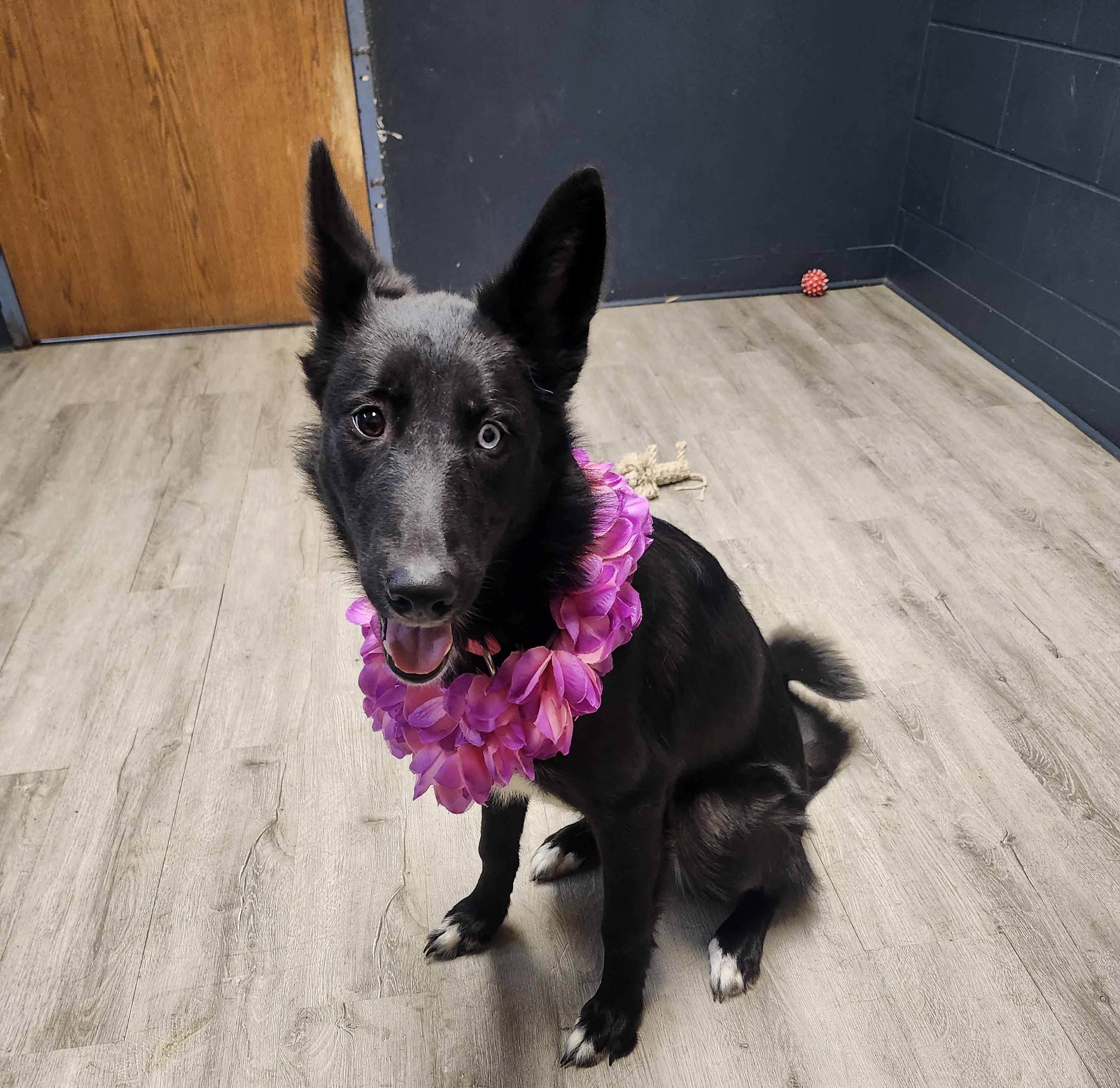 Ethel Cain thumbnail 2