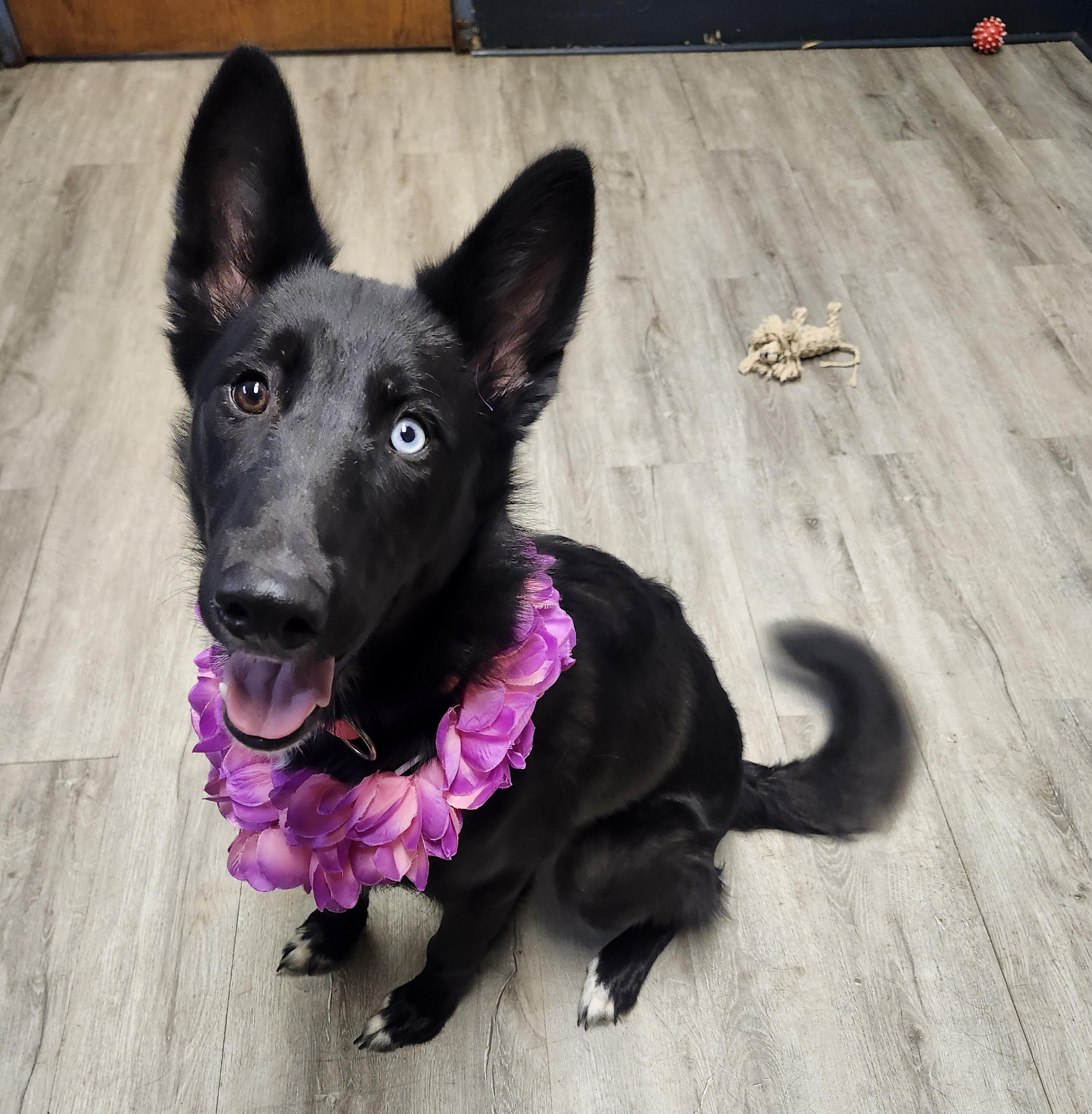 Ethel Cain thumbnail 3