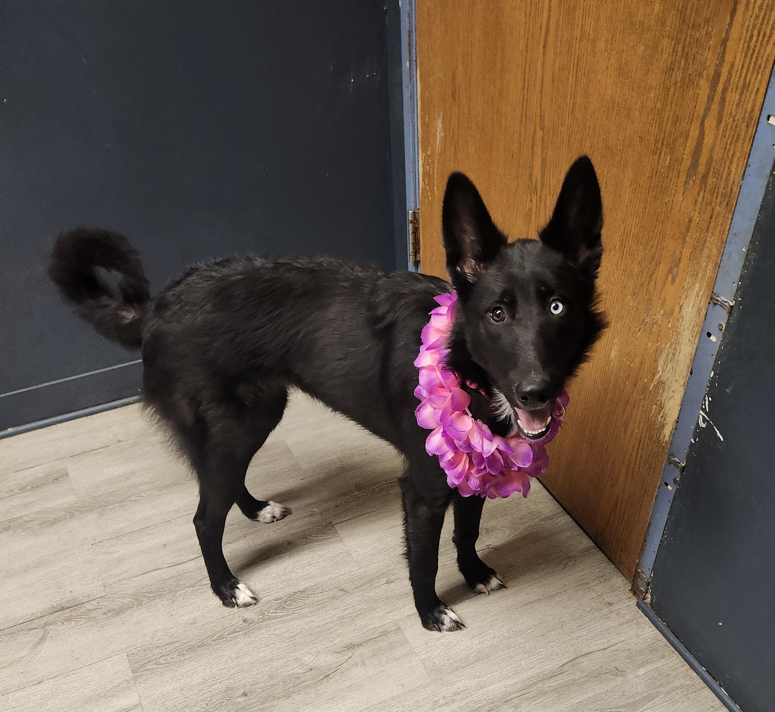 Ethel Cain thumbnail 4