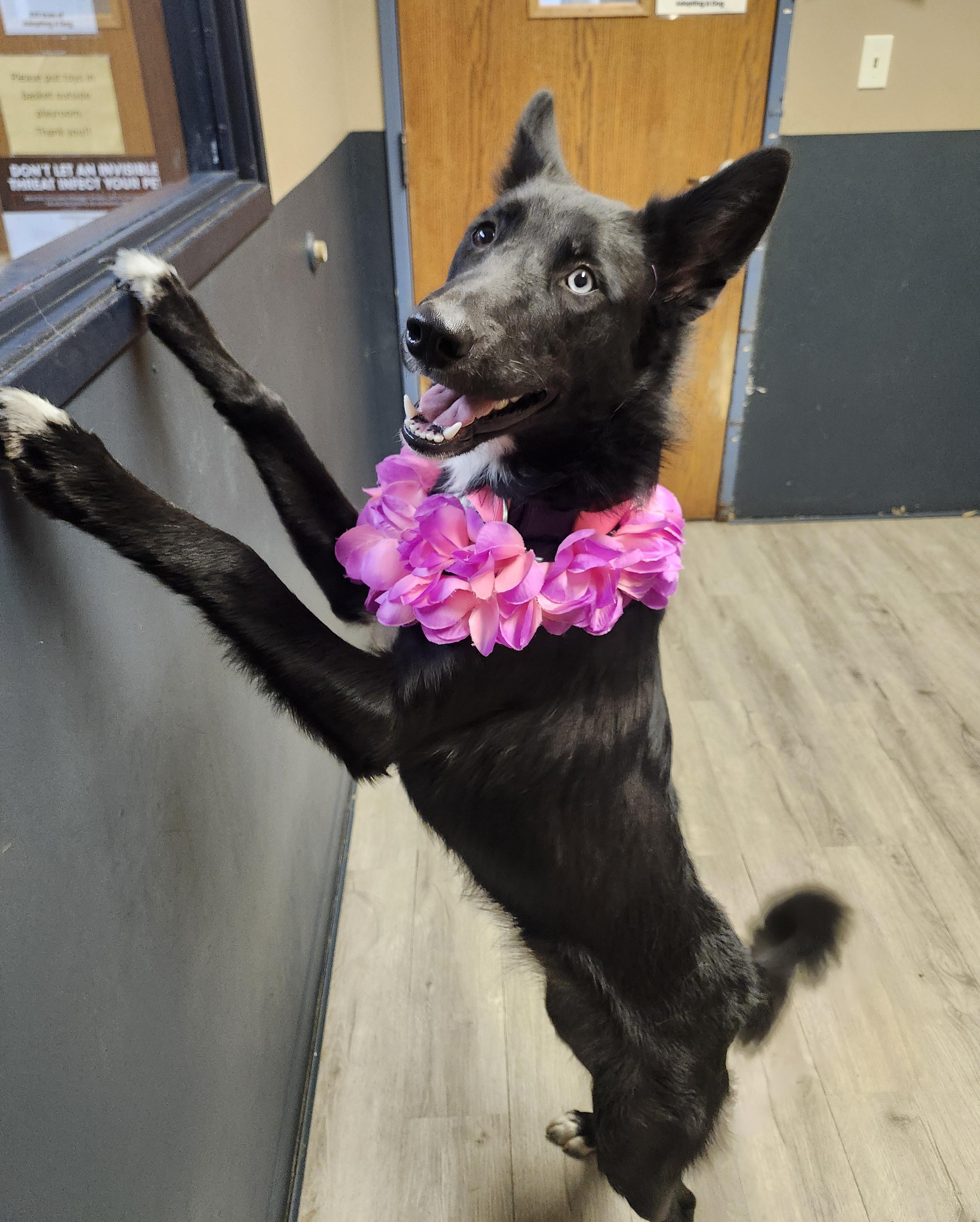 Ethel Cain thumbnail 5