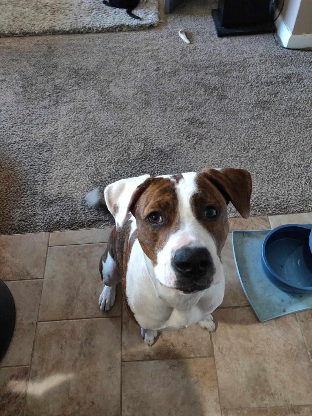 Kona (COURTESY LISTING)