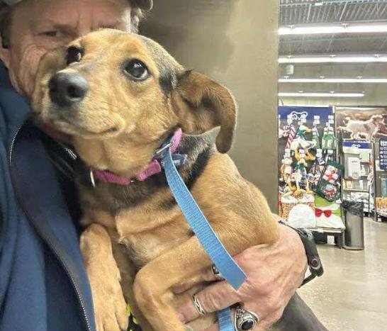 Rutledge In Tx thumbnail 2