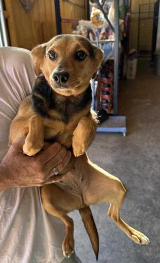 Rutledge In Tx thumbnail 3