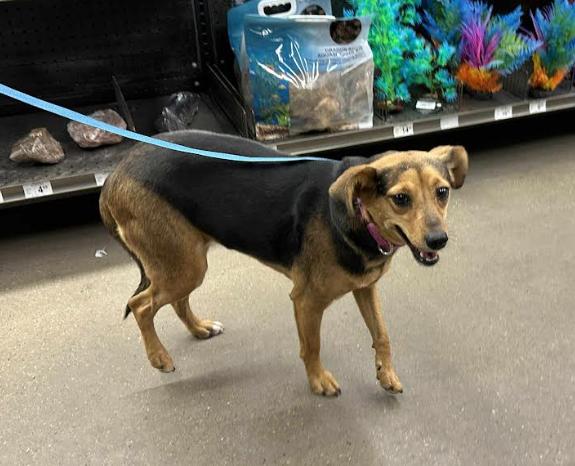 Rutledge In Tx thumbnail 4