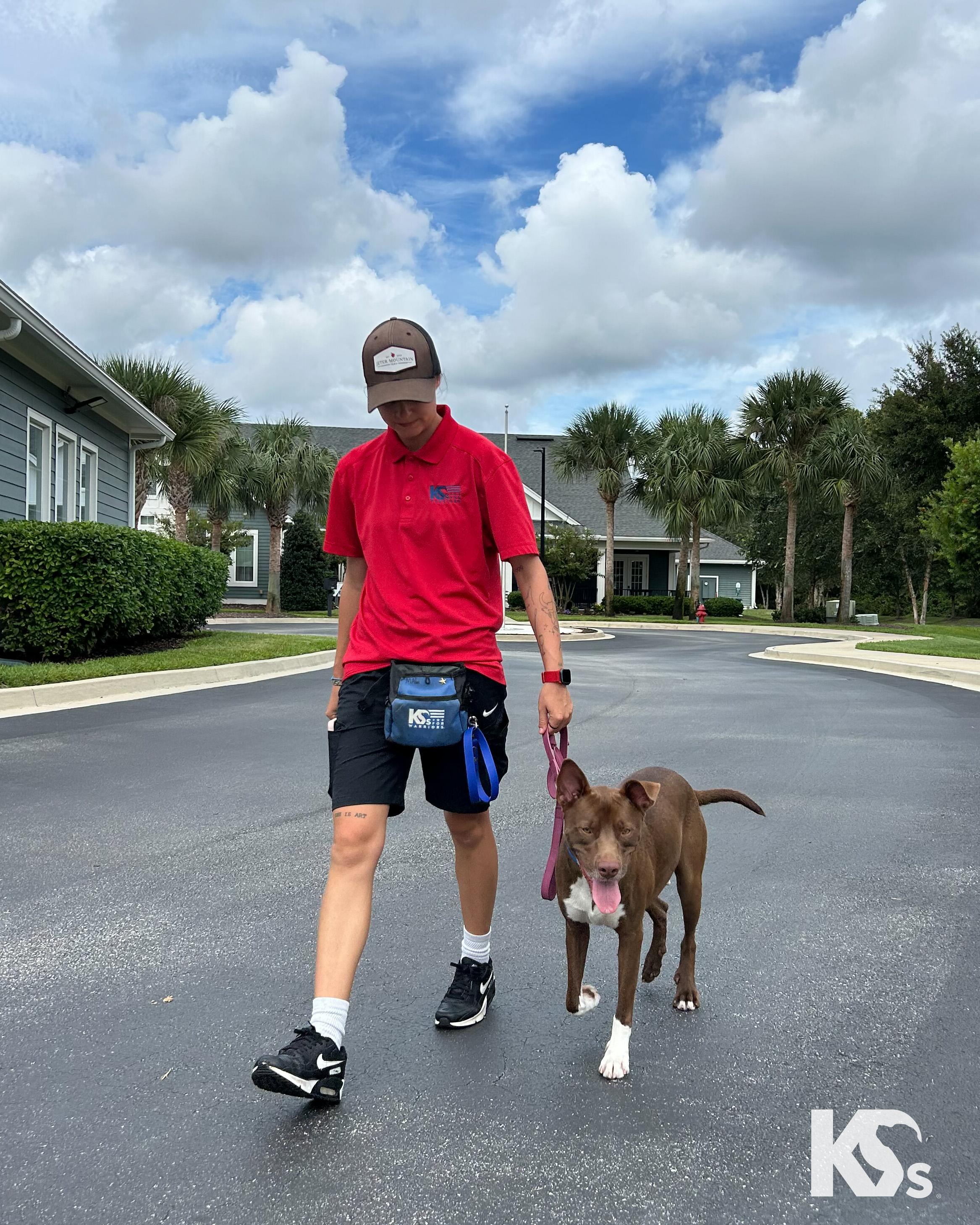 Enlarge Bucky, a Adoptable mixed breed in Ponte Vedra, FL image 2/6
