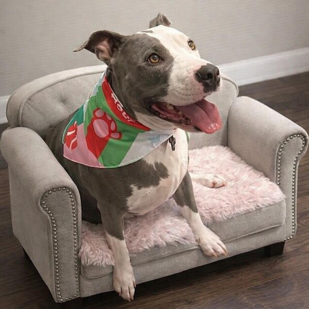 Chloe — thumbnail 2