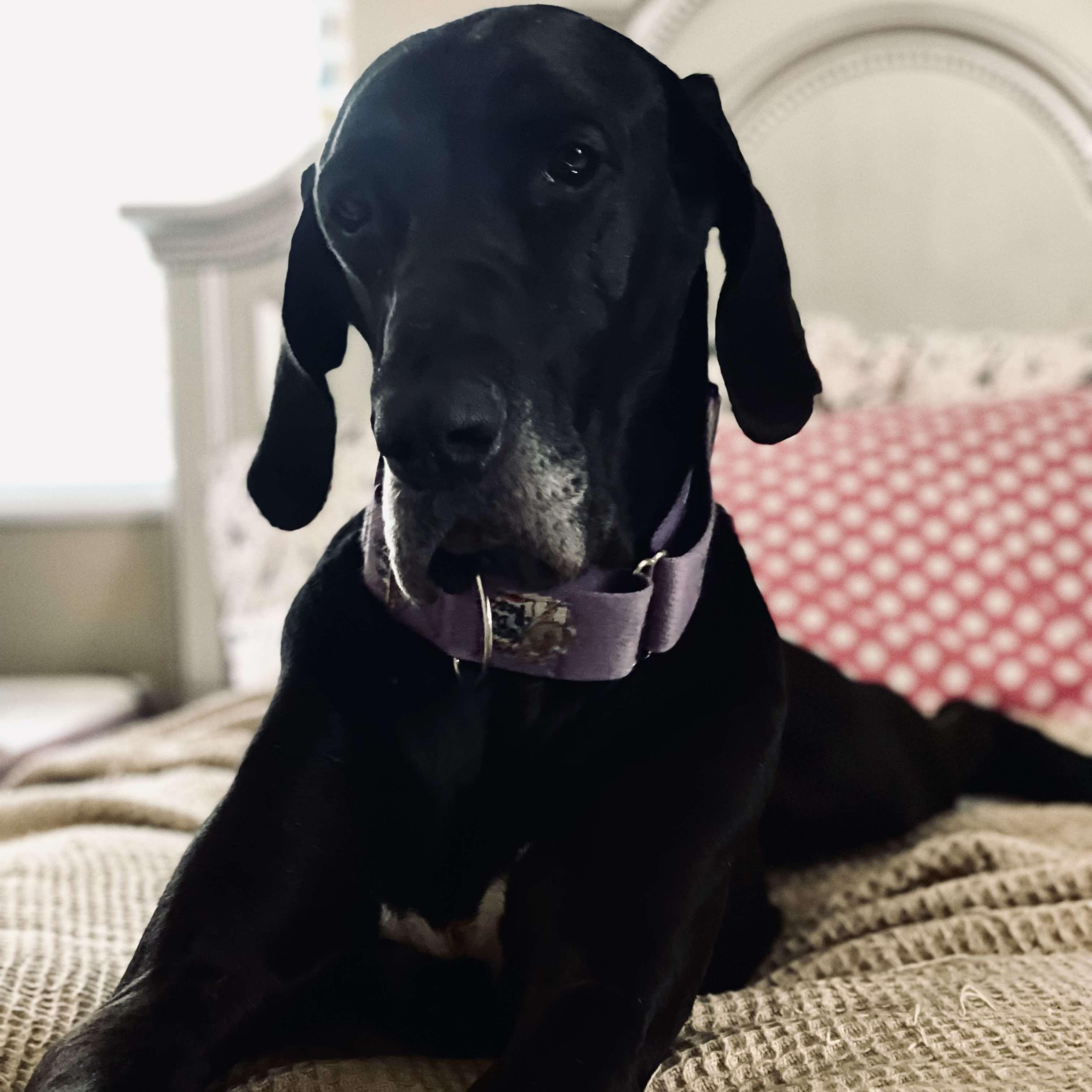 Penelope photo 3