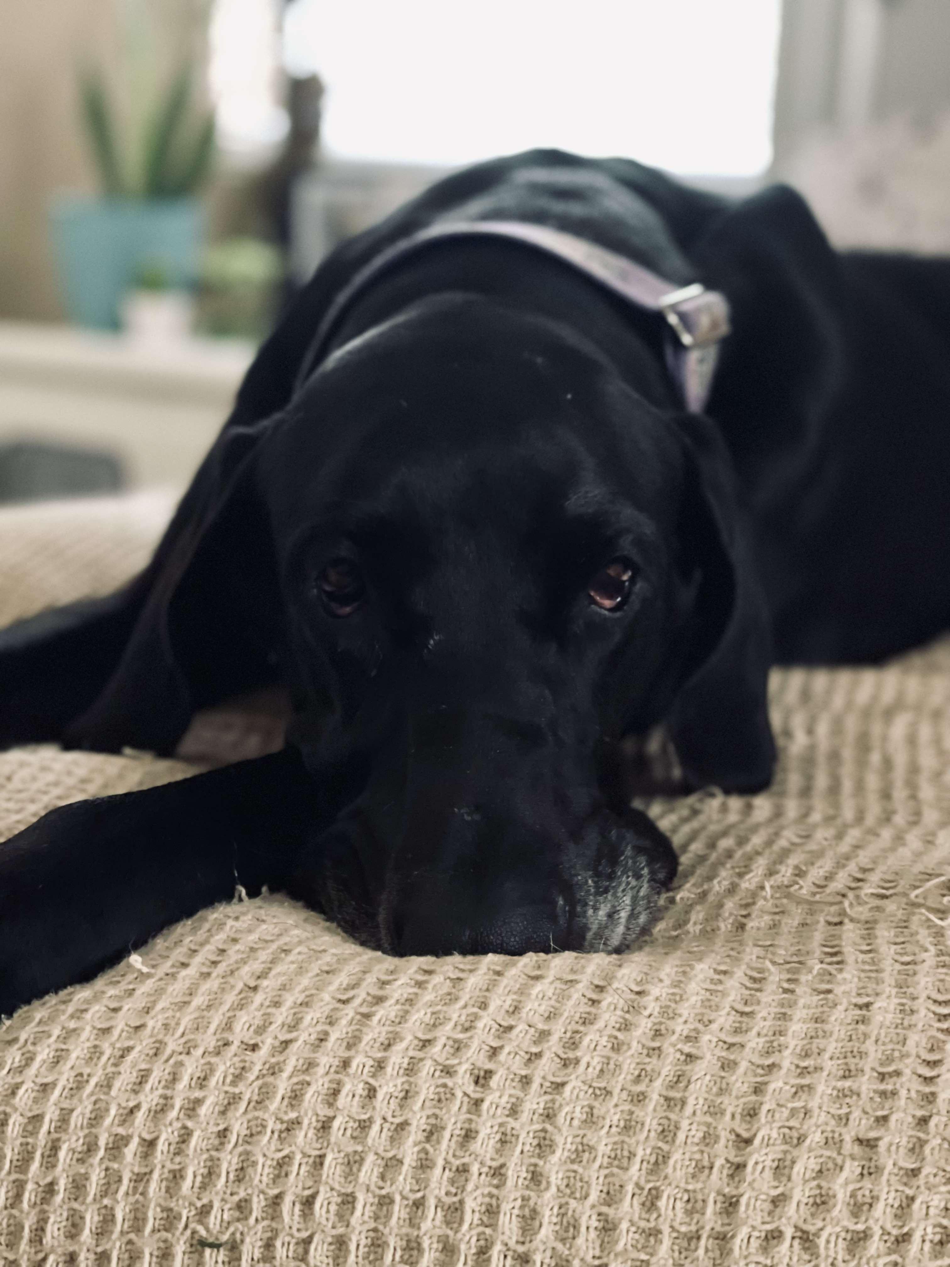 Penelope photo 6
