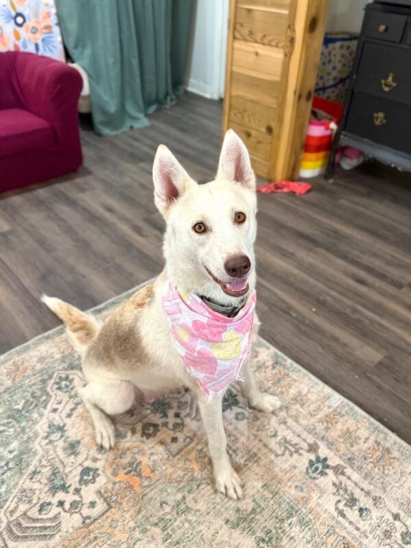 Bahama Mama Gives Gentle Hugs — thumbnail 3