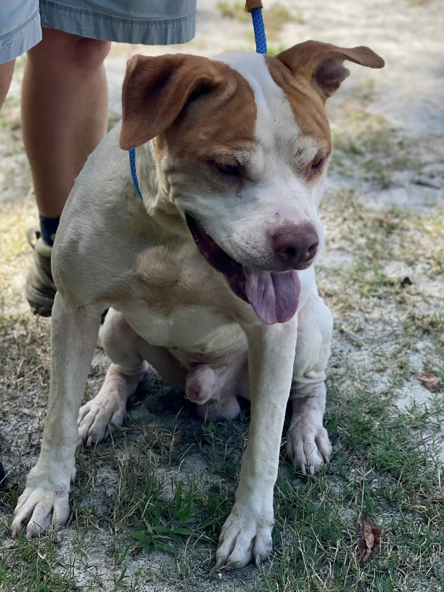 Luffy ID#24269D photo 5
