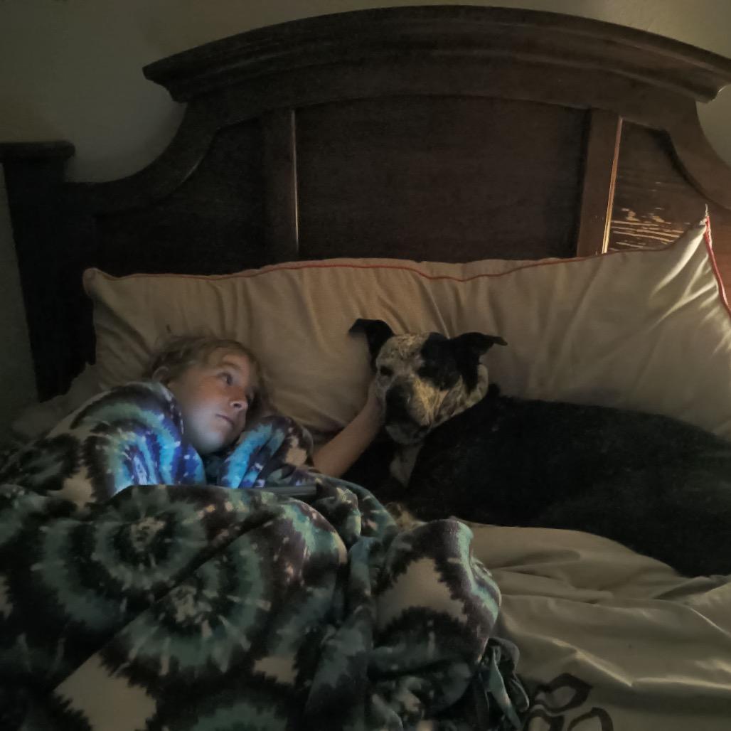 Enlarge Faline, a Adoptable mixed breed in Tomah, WI image 6/6