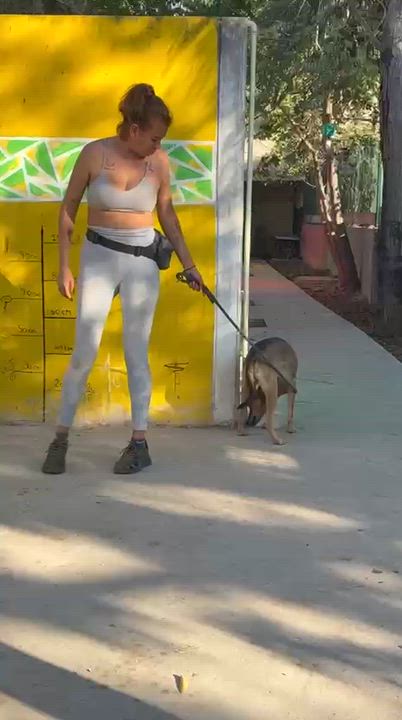 Enlarge Pach, a ADOPTABLE mixed breed in New York, NY video 3/6