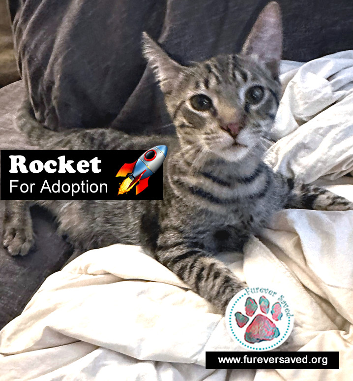 Rocket photo 2