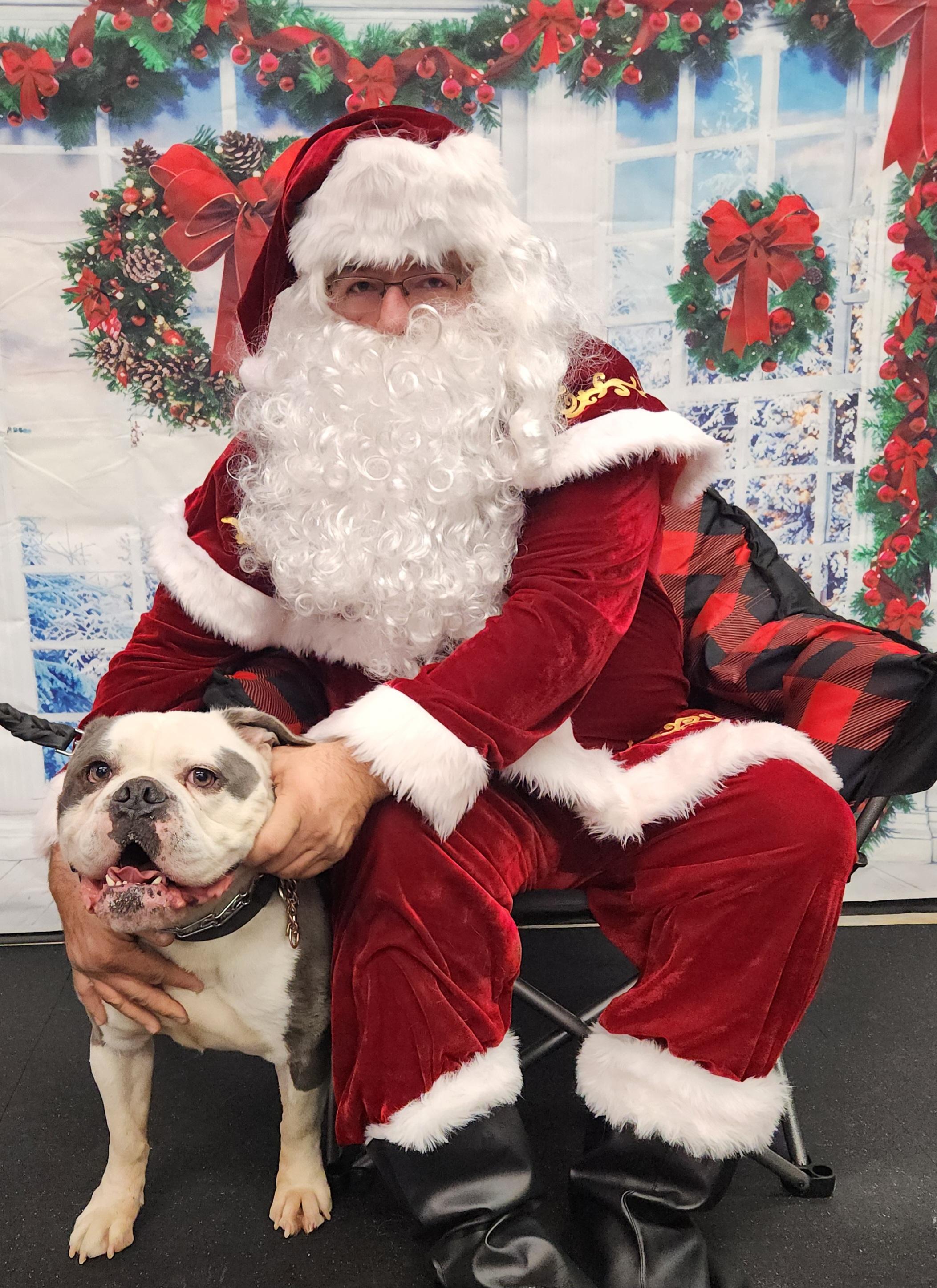 Enlarge Lumpy, a Adopted English Bulldog in Muskego, WI image 4/6