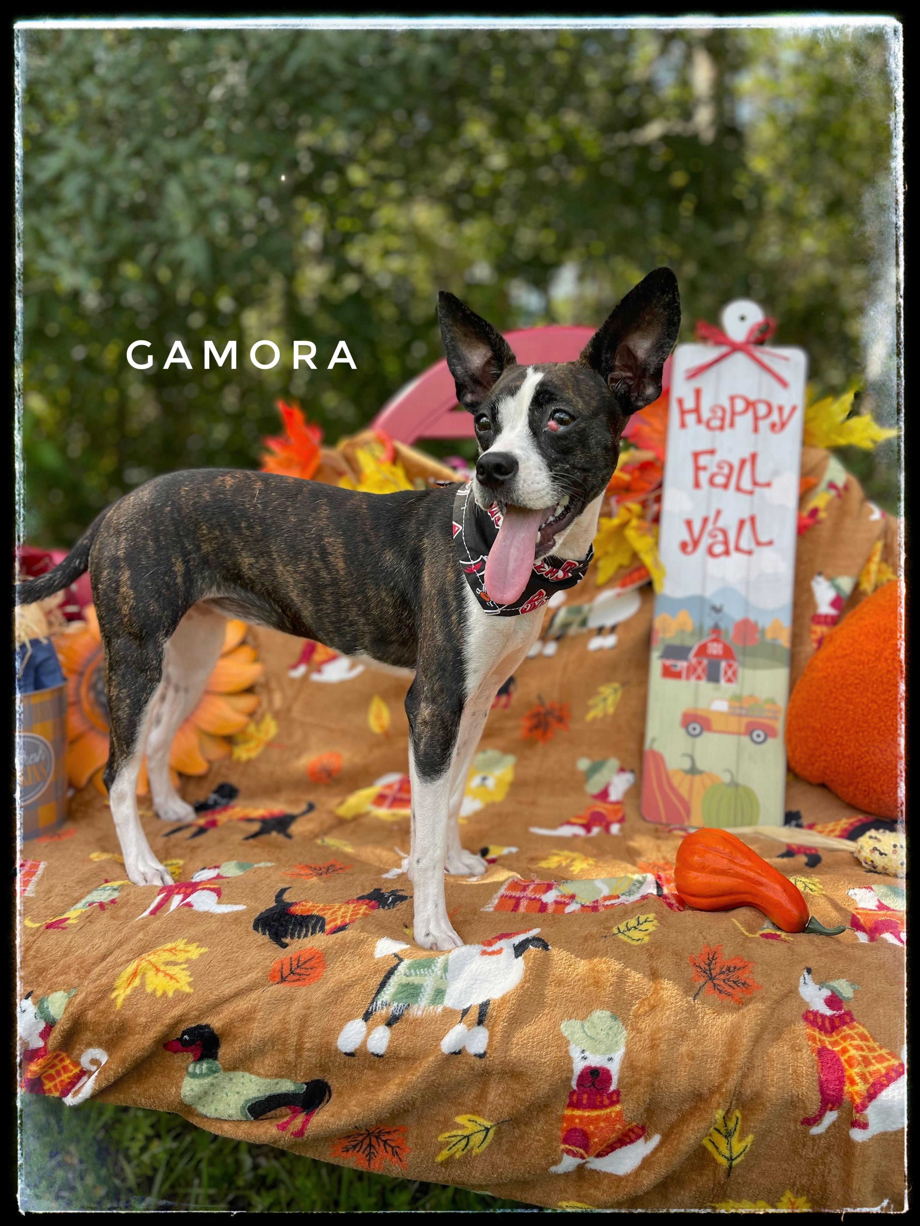 Gamora