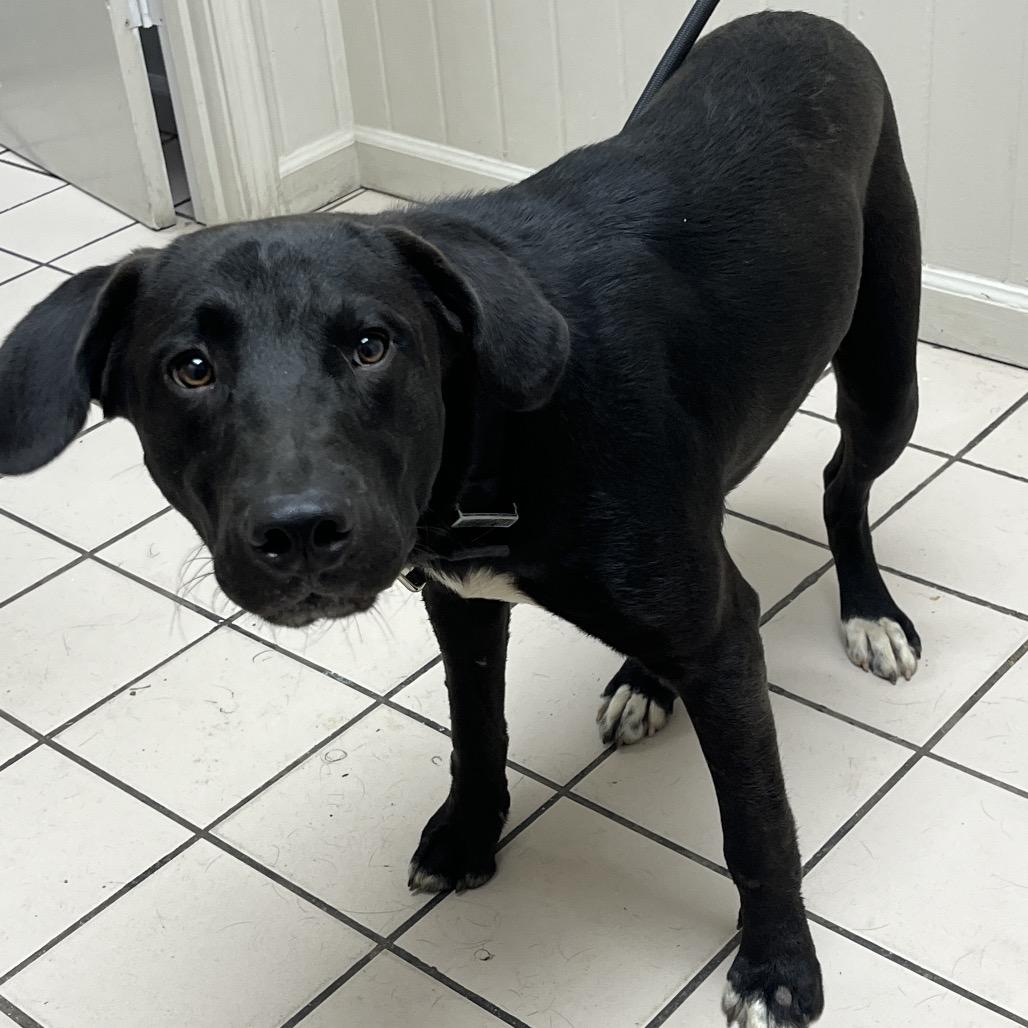 Booboo — thumbnail 2