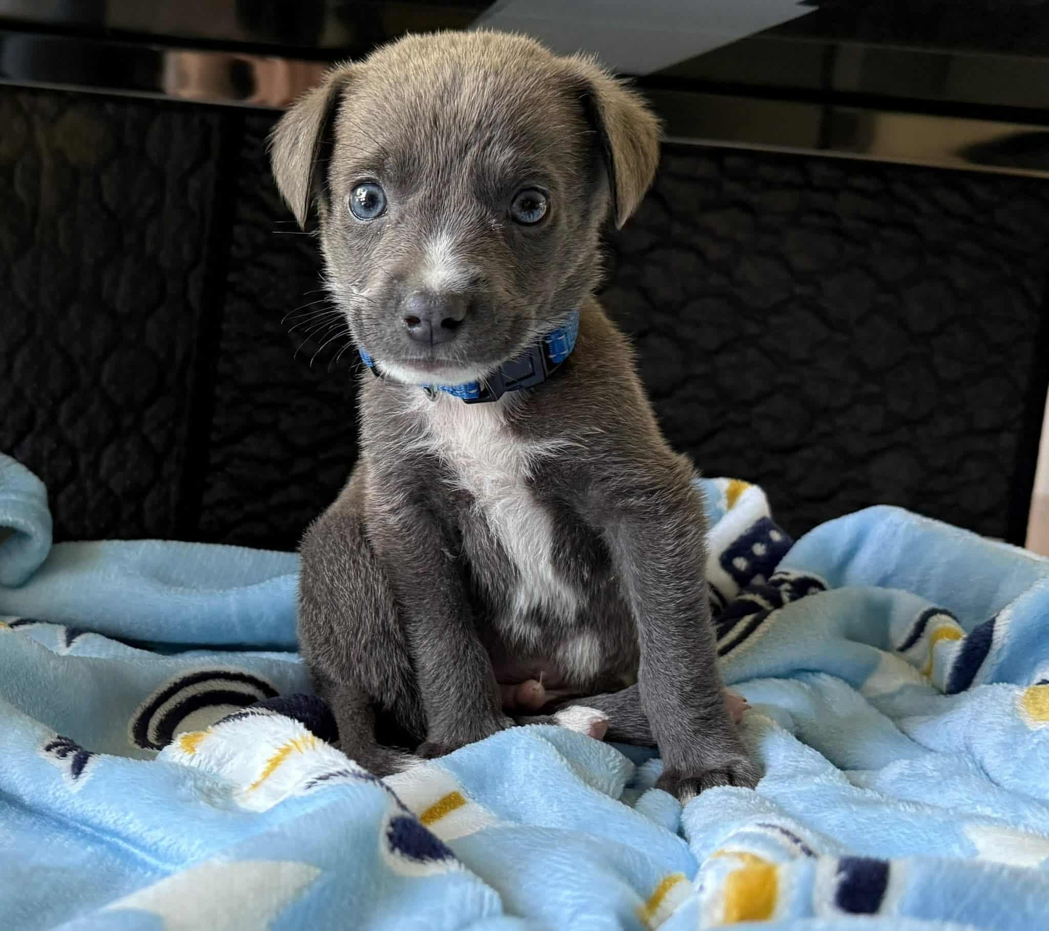 Copper