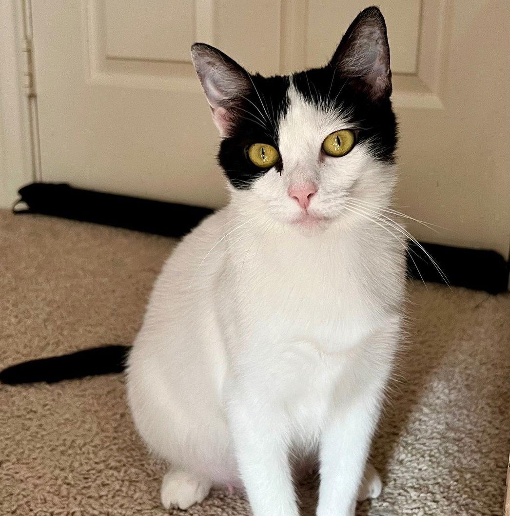 Winter Lovesbellyrubs thumbnail 2