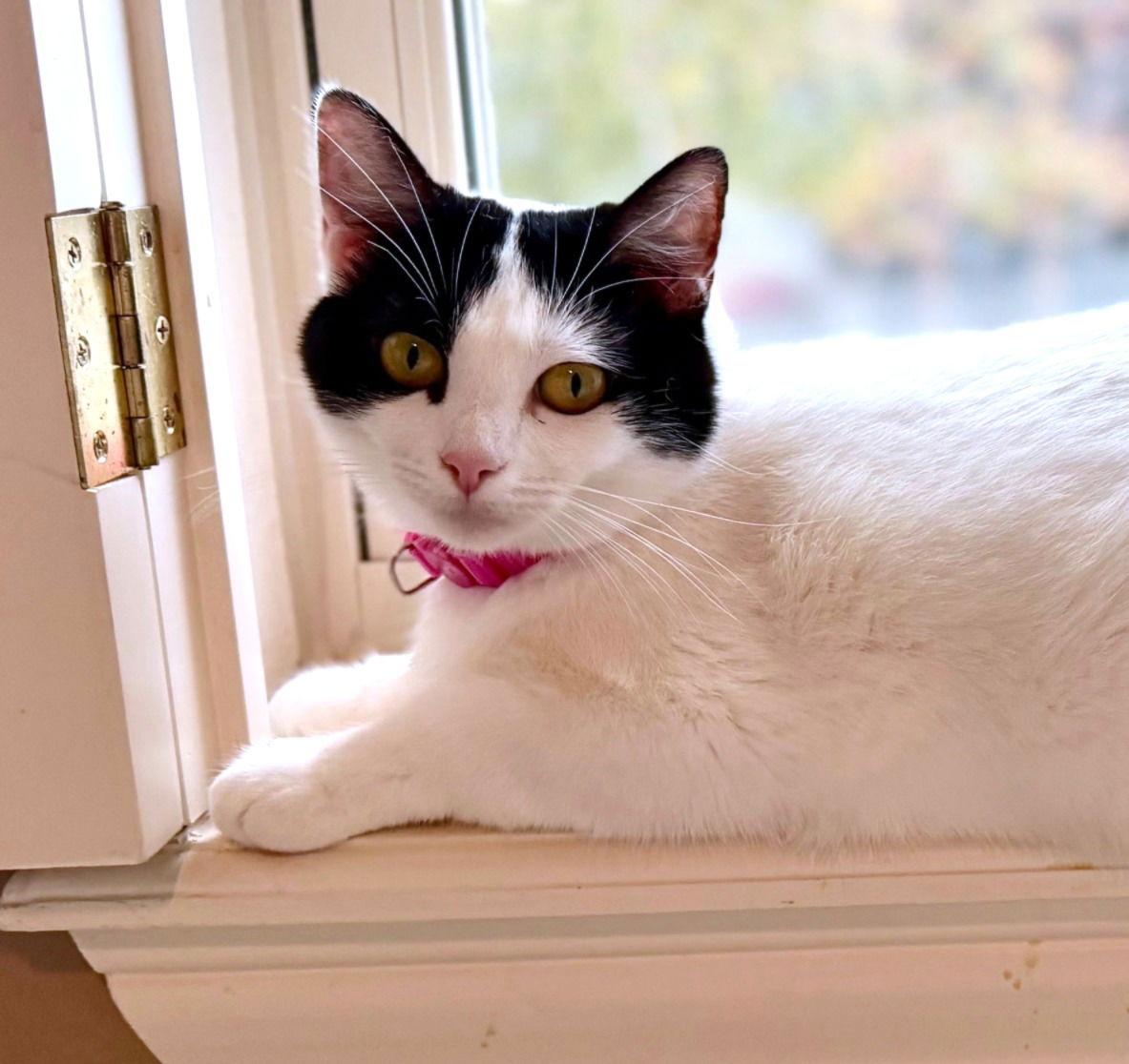 Winter Lovesbellyrubs thumbnail 3