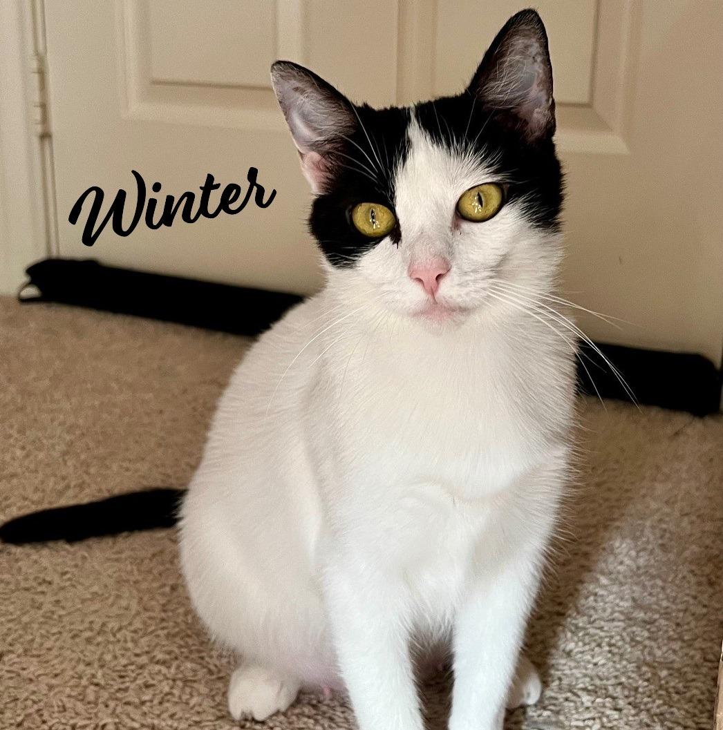 Winter #loves-belly-rubs