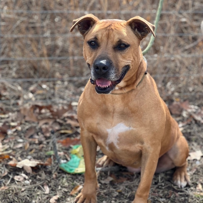 Maggie photo 2
