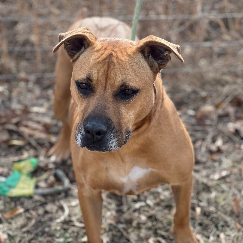 Maggie photo 4