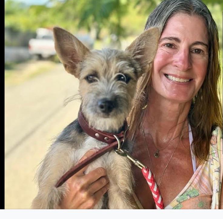 Enlarge Peyton, a Adoptable mixed breed in Erin, ON image 1/5