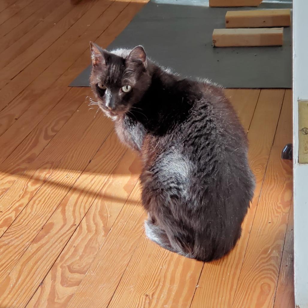 Phantom — thumbnail 5